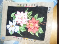 /album/fotogaleria-3/p1000379-jpg/