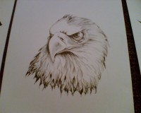 /album/fotogaleria-4/snimka007-jpg/